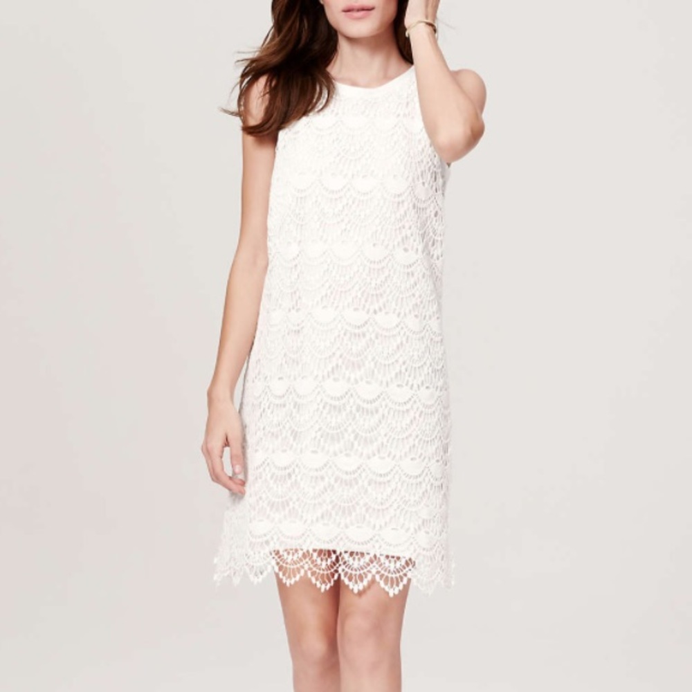 LOFT Scallop Lace Dress